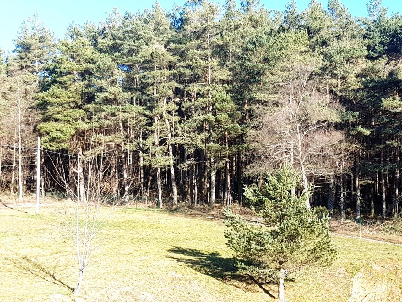 Отель Complejo O Pineiral A Fonsagrada Экстерьер фото